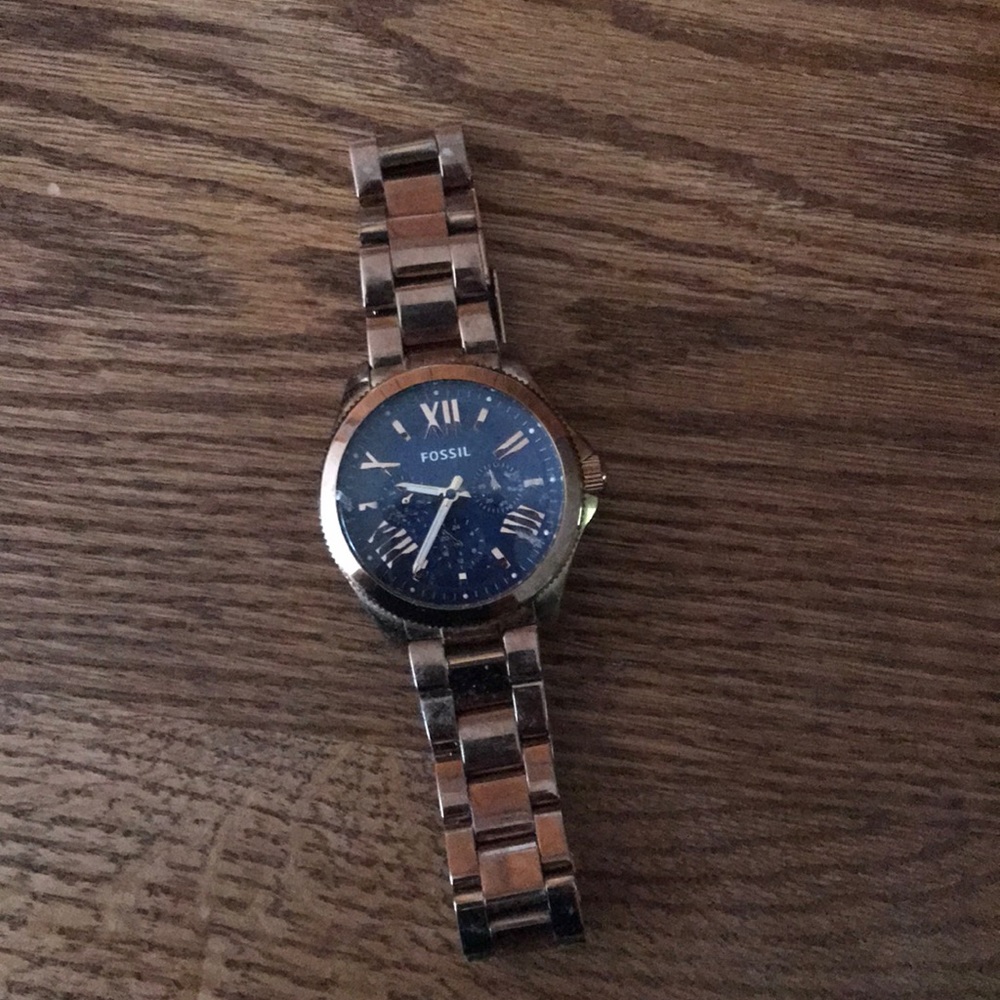 Men’s rose gold and navy Fossil Watch